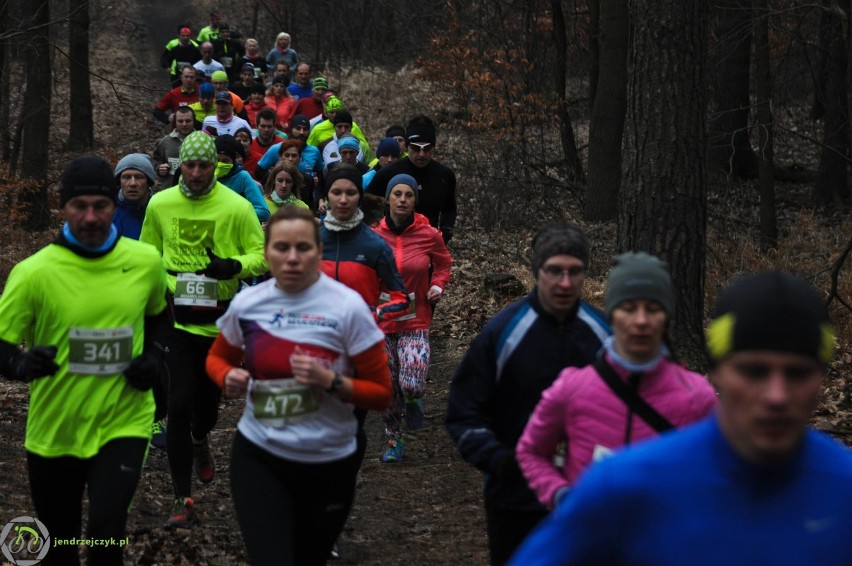 City Trail w Katowicach - zdjęcia z finałowego biegu [28 luty 2016]