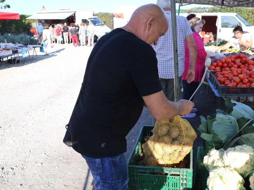 Ceny warzyw i owoców na targu w Radziejowie (23 sierpnia...
