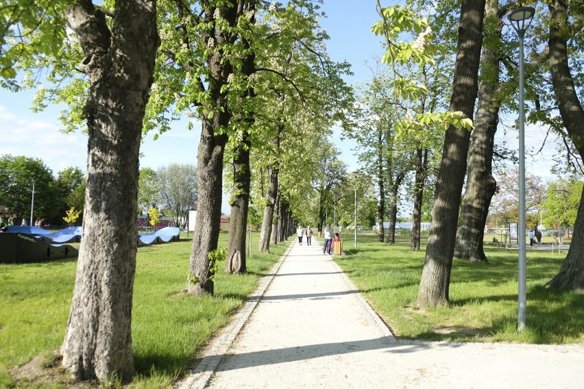Park przy ulicy Czerwonego Krzyża w Żarach jest najbardziej...