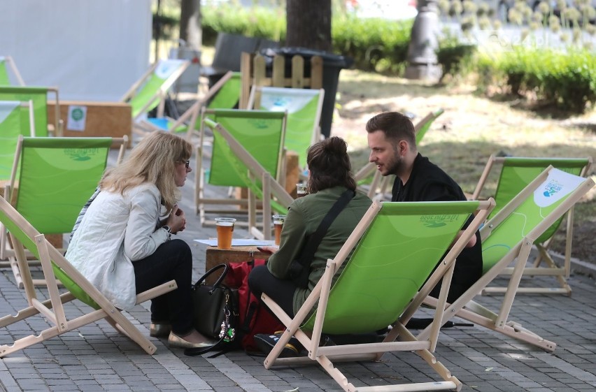 Festiwal Dobrego Życia w Szczecinie