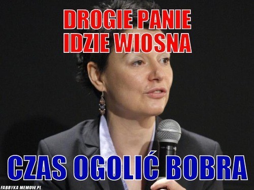 Idzie wiosna! Zobacz najśmieszniejsze memy i śmieszne obrazki [MEMY]