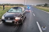 Groźny wypadek w Wałbrzychu. Jeleń wbiegł pod koła dwóch samochodów, jedno auto totalnie zniszczone 