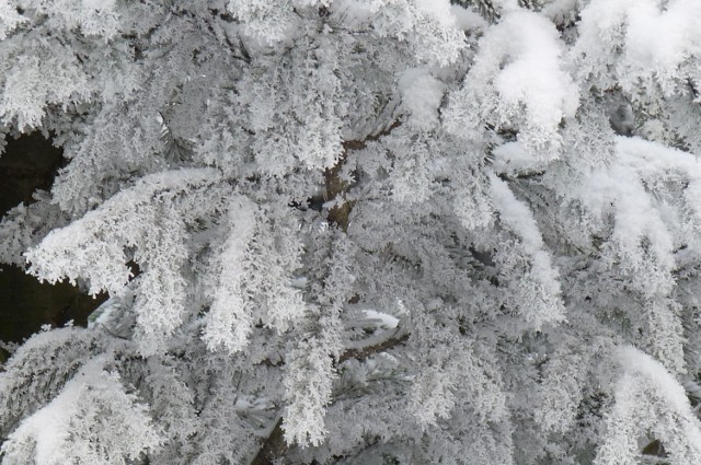 Tak wygląda zima na granicy Grunwaldu i Świerczewa