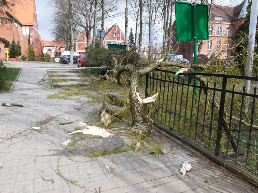 Wichura szaleje nad regionem szczecineckim. Połamane drzewa, zerwane linie energetyczne 