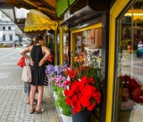 Plac Wolności w Bydgoszczy ma się zmienić. Znikną budki z kwiatami?