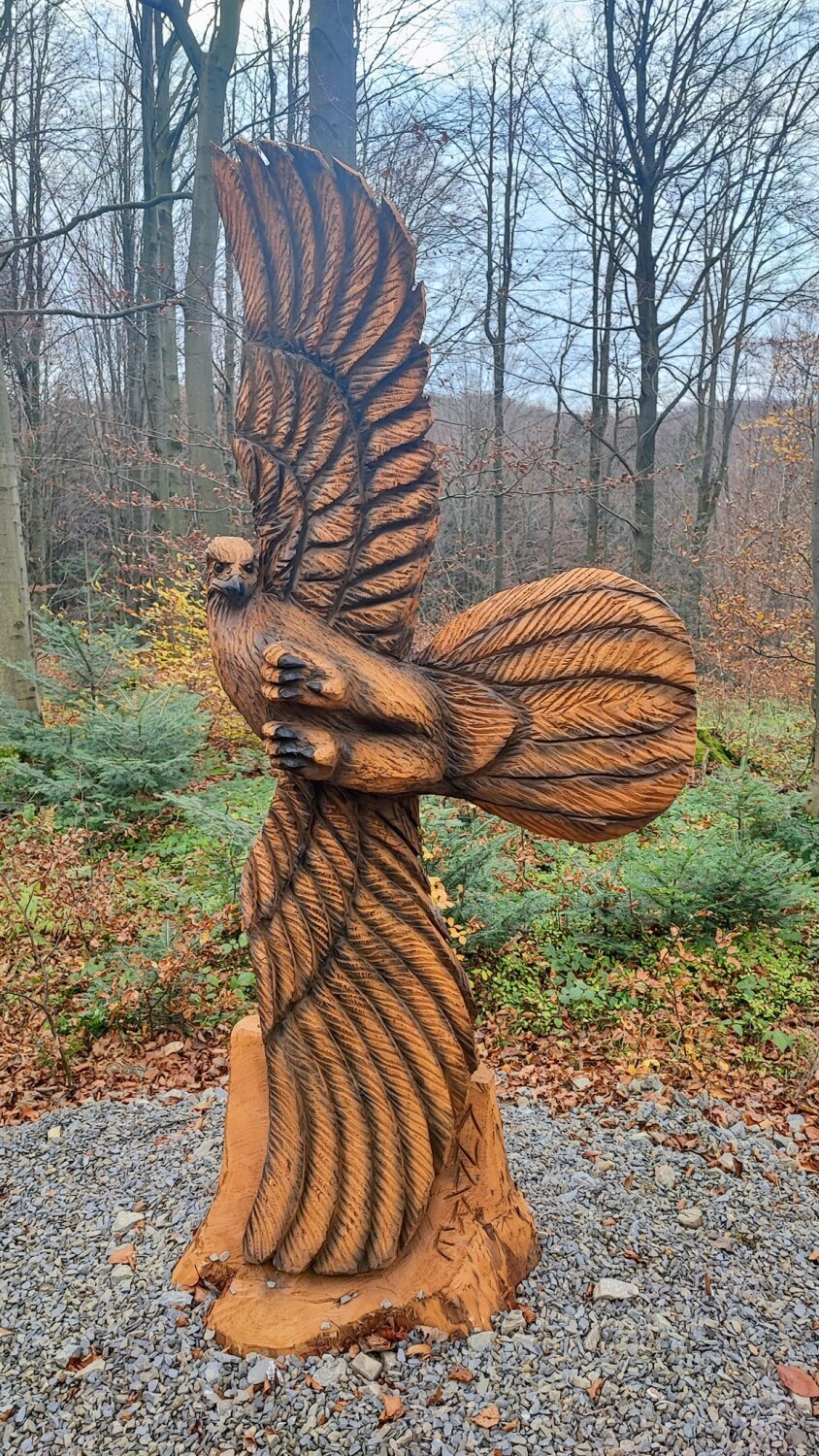 Galeria rzeźb stanęła przy ścieżce edukacyjnej z Wysowej do Blechnarki. Figury powstały z obumarłych drzew. Wyrzeźbił je Andrzej Zawadzki