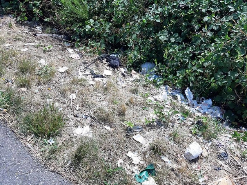 Śmieci i góra opon w pobliżu Sokołowic (FOTO)      