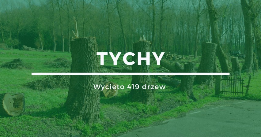 Miejsce 8: Tychy