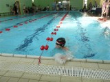 Mistrzostwa Zduńskiej Woli w pływaniu [zdjęcia]
