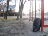 Śmieci w Lublinie. Jedni płacą, inni podrzucają (ZDJĘCIA)