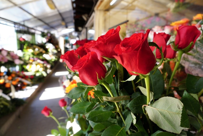 Walentynki 2022. W Święto Zakochanych kwiaciarnie nie mogą narzekać na brak klientów. Zobacz zdjęcia