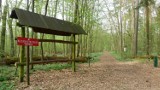 Rezerwat leśny Dębina w Wągrowcu - piękne miejsce na wiosenne spacery i nie tylko!