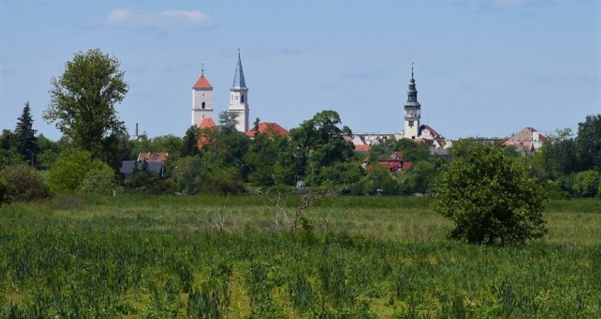 Miedź jest okolicy Bytomia Odrzańskiego. KGHM spodziewa się...