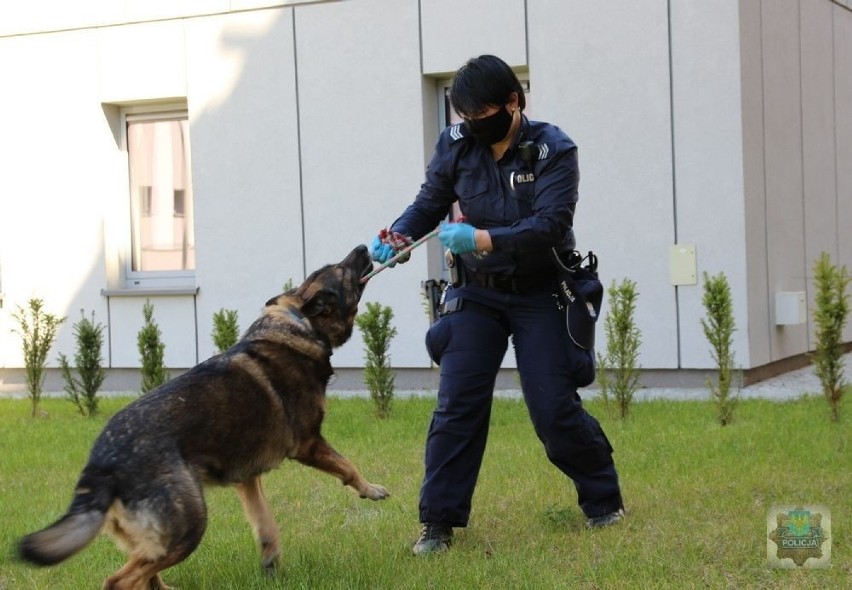 Hardo, pies policyjny z Brzegu przeszedł na zasłużony...