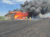 Pożar w gospodarstwie rolnym w Marcelinie. Spłonęła stodoła ZDJĘCIA