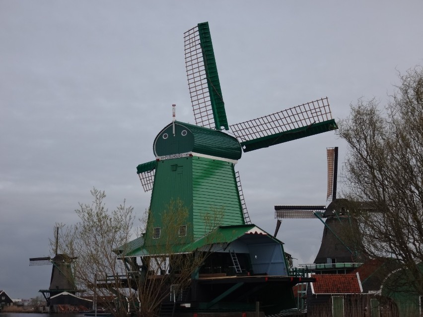 Wiatraki - narodowy symbol Holandii [zdjęcia]