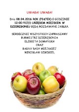 Jabłka będą rozdawać w piątek w Dzierzgoniu