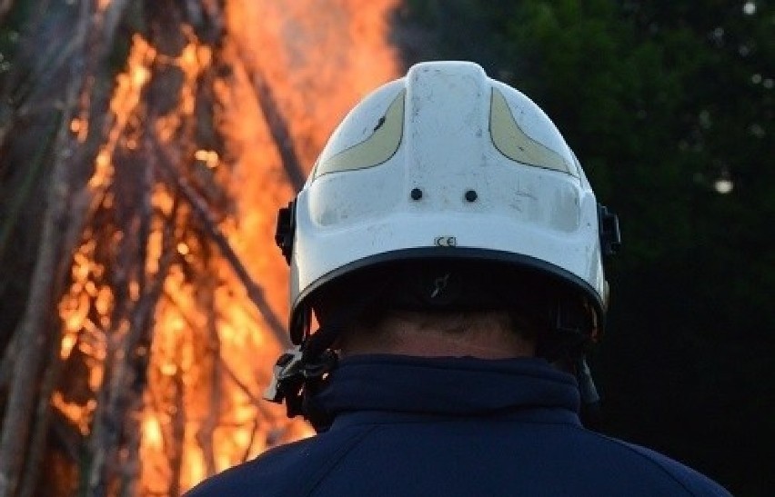 Pożar traw w pobliżu ulicy Krótkiej w Gorzowie