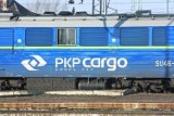 31-latek zginął pod kołami lokomotywy, jadącej ze Zgorzelca w kierunku Wrocławia. Nic nie dało się zrobić