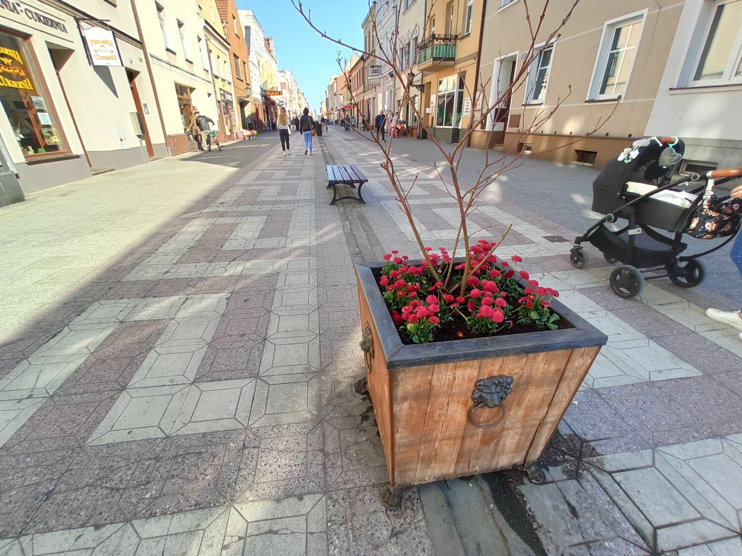 w-rawiczu-czu-ju-wiosn-pierwsze-p-ki-na-plantach-i-kolorowe-kwiaty