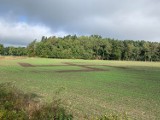 Gmina Sławno. Skandal. Ktoś wyciął olbrzymią swastykę na polu ZDJĘCIA