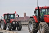 Protest rolników w Malborku. Najpierw jeździli drogami krajowymi, potem wzięli udział w pikiecie na pl. Jagiellończyka