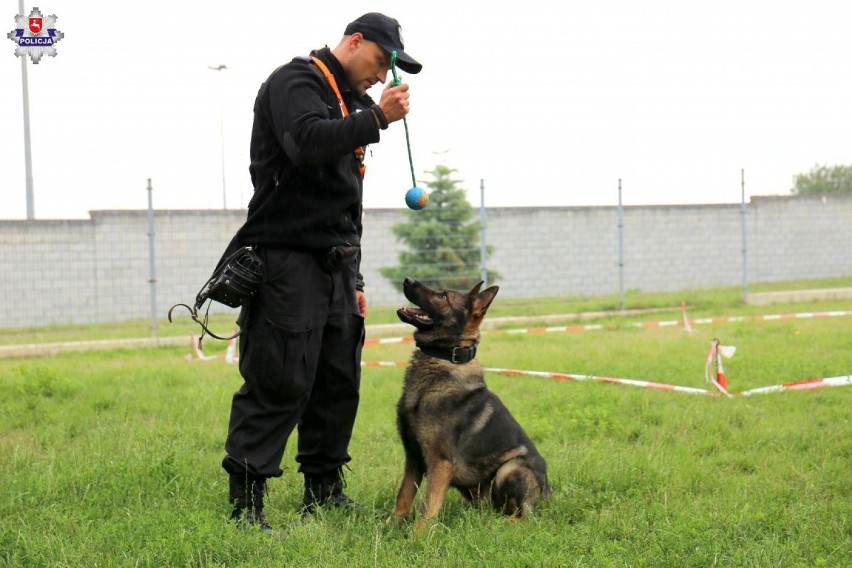 Wojewódzkie eliminacje do mistrzostw policji psów patrolowo-tropiących. Zobaczcie zdjęcia (ZDJĘCIA/WIDEO)