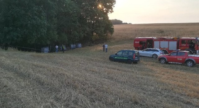 Sprawa niebezpiecznych odpadów w Dziembowie ujrzała światło dzienne pod koniec lipca 2019 roku