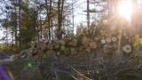 Gmina Kościerzyna przekazała drewno na opał osobom najbardziej potrzebującym