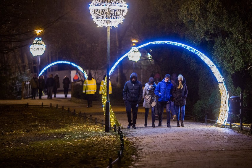 Iluminacje w Parku Oliwskim zostaną zdemontowane. Światełka zostały wyłączone z powodu żałoby po śmierci Pawła Adamowicza