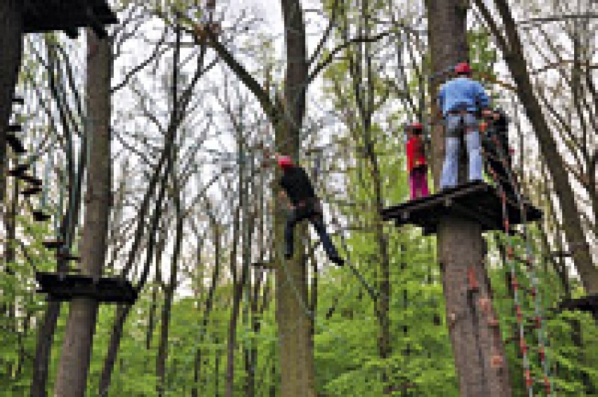 Ośrodek Turystyczno-Wypoczynkowy w Bąkowie leży w Powiecie...