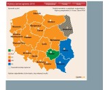 Wybory 2010: Oficjalne wyniki (INFOGRAFIKA)