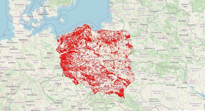 Informacje o rodzaju, charakterze i skali zaplanowanej rębni...