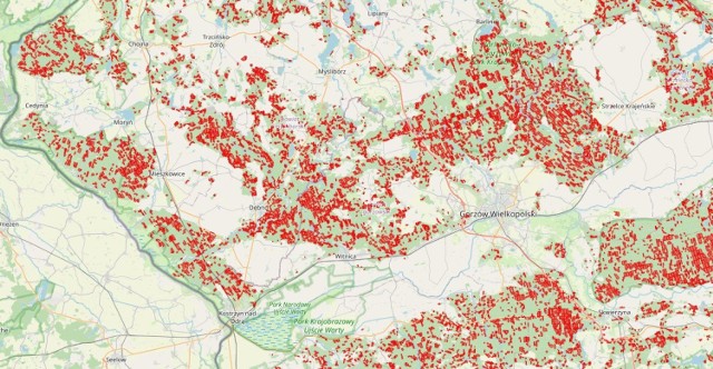 Zanim wytną Twój las - powstała mapa przygotowana przez twórców inicjatywy Lasy i Obywatele.