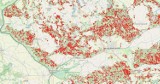 Ta mapa wycinki lasów może przerazić wielbicieli natury w Lubuskiem! Zdaniem leśników - wprowadza w błąd. To manipulacja?