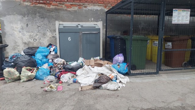 Śmieciowy armagedon w Żarach