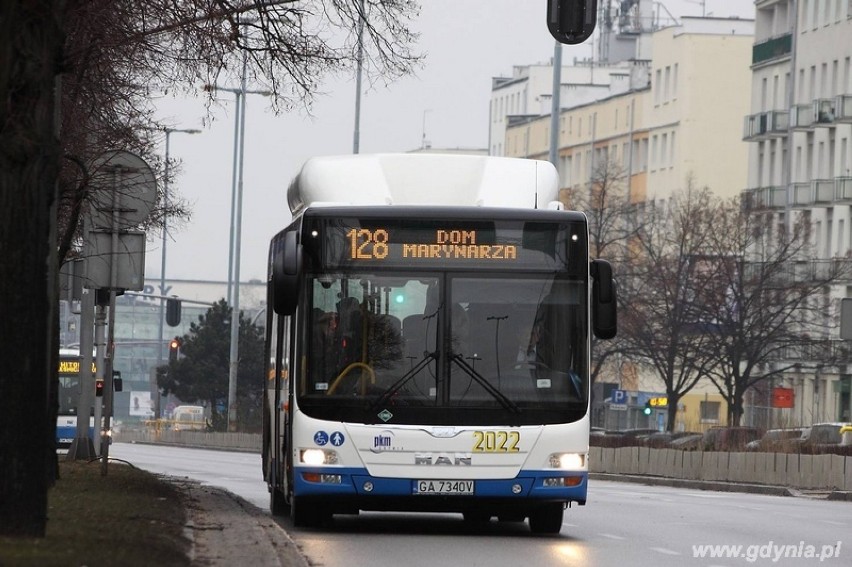 Nowe autobusy wyjechały na gdyńskie ulice [zdjęcia]