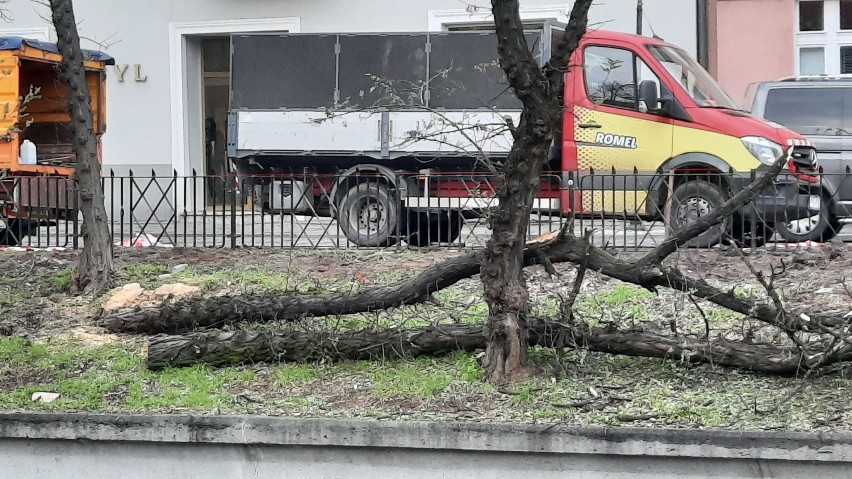 Wycinka drzew na ulicy Kazimierzowskiej w Kaliszu. Tak...