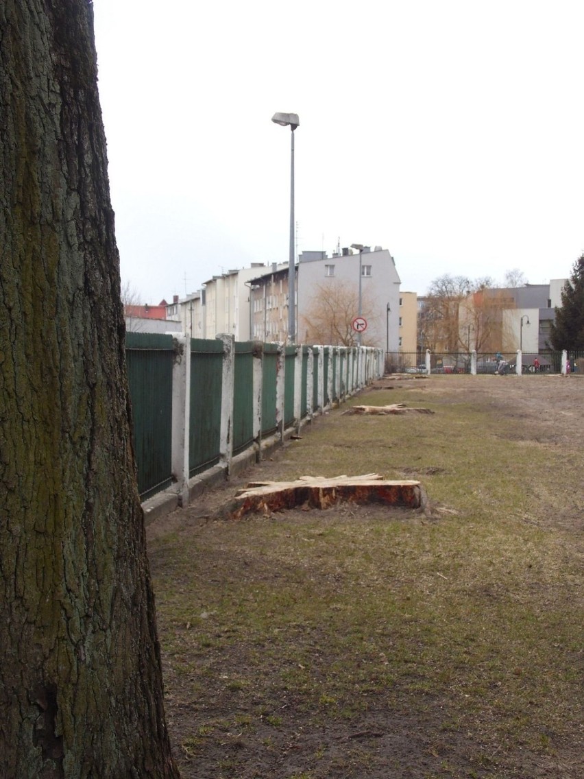 Strzałka wskazująca "ścieżkę przyrodniczą" kieruje obecnie...