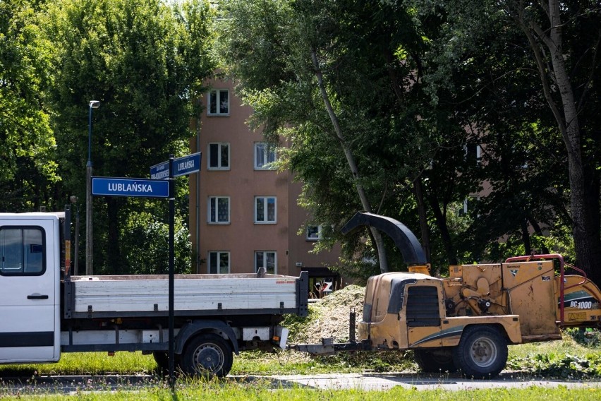 Wycinka drzew pod budowę linii tramwajowej do Mistrzejowic