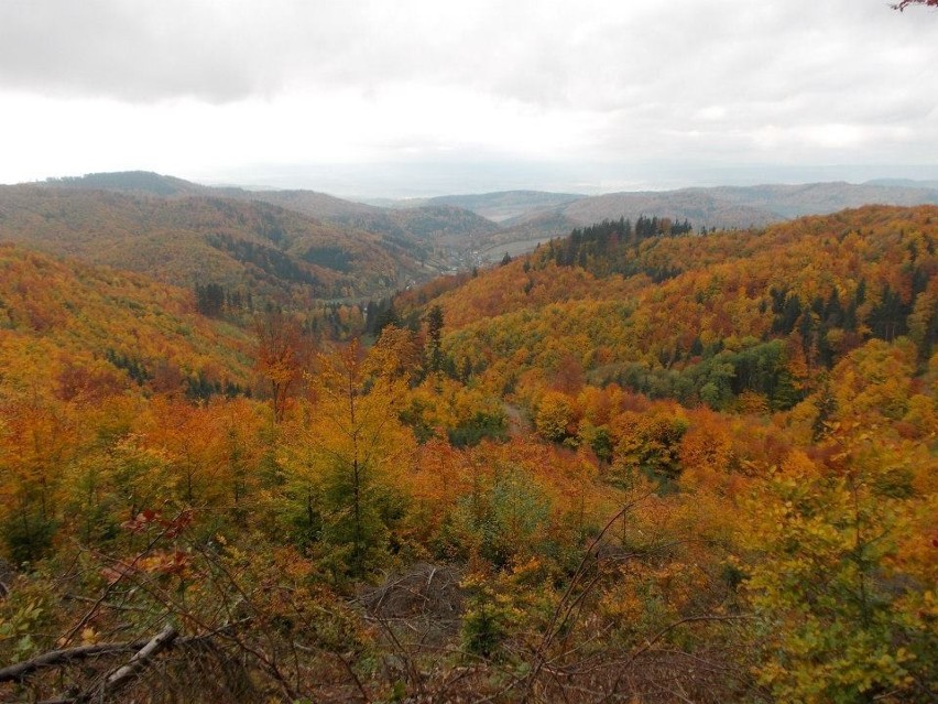 Srebrna Góra jesienią
