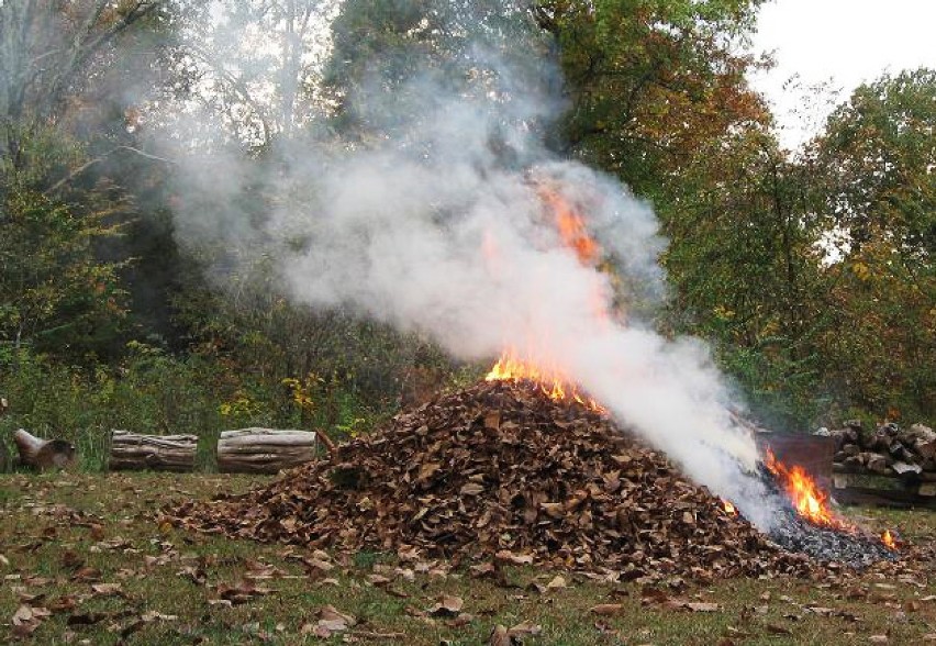 01.08.2019 r. godz.16.33
Dyżurny straży miejskiej otrzymał...