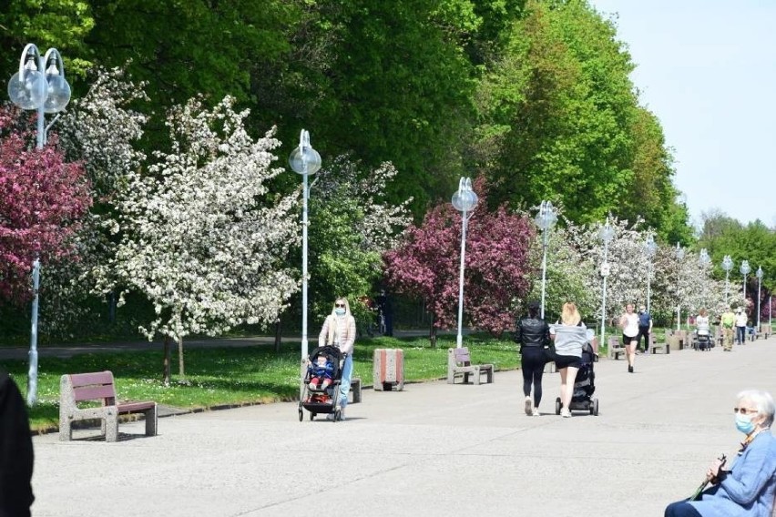 Na Bulwarze Nadmorskim i Skwerze Kościuszki miasto wymieni latarnie. Na bardziej ekologiczne