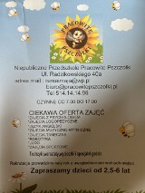 Niepubliczne Przedszkole Pracowite Pszczółki 