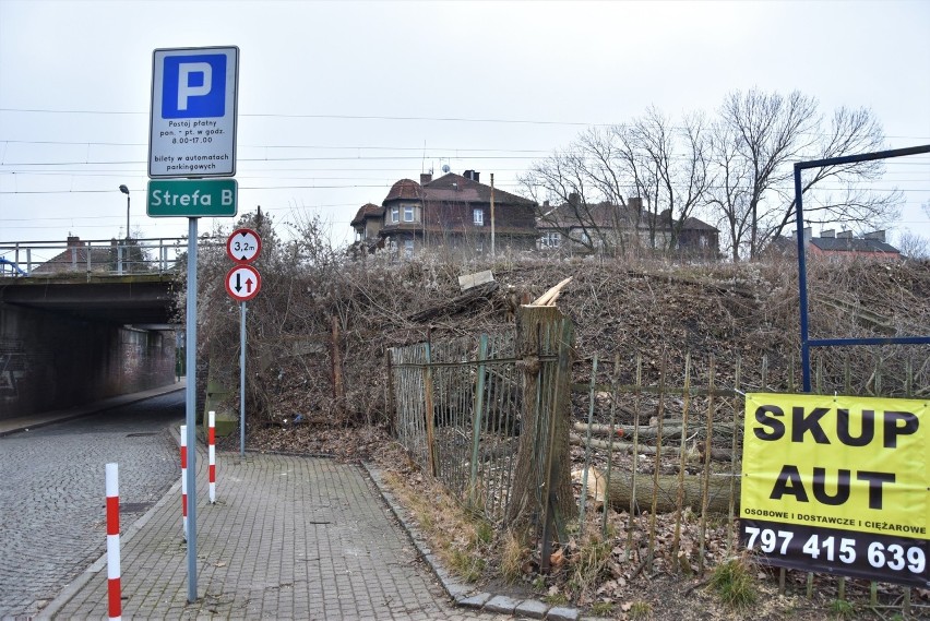 Wycinka drzew na Pasiece. Regionalna Dyrekcja Ochrony...