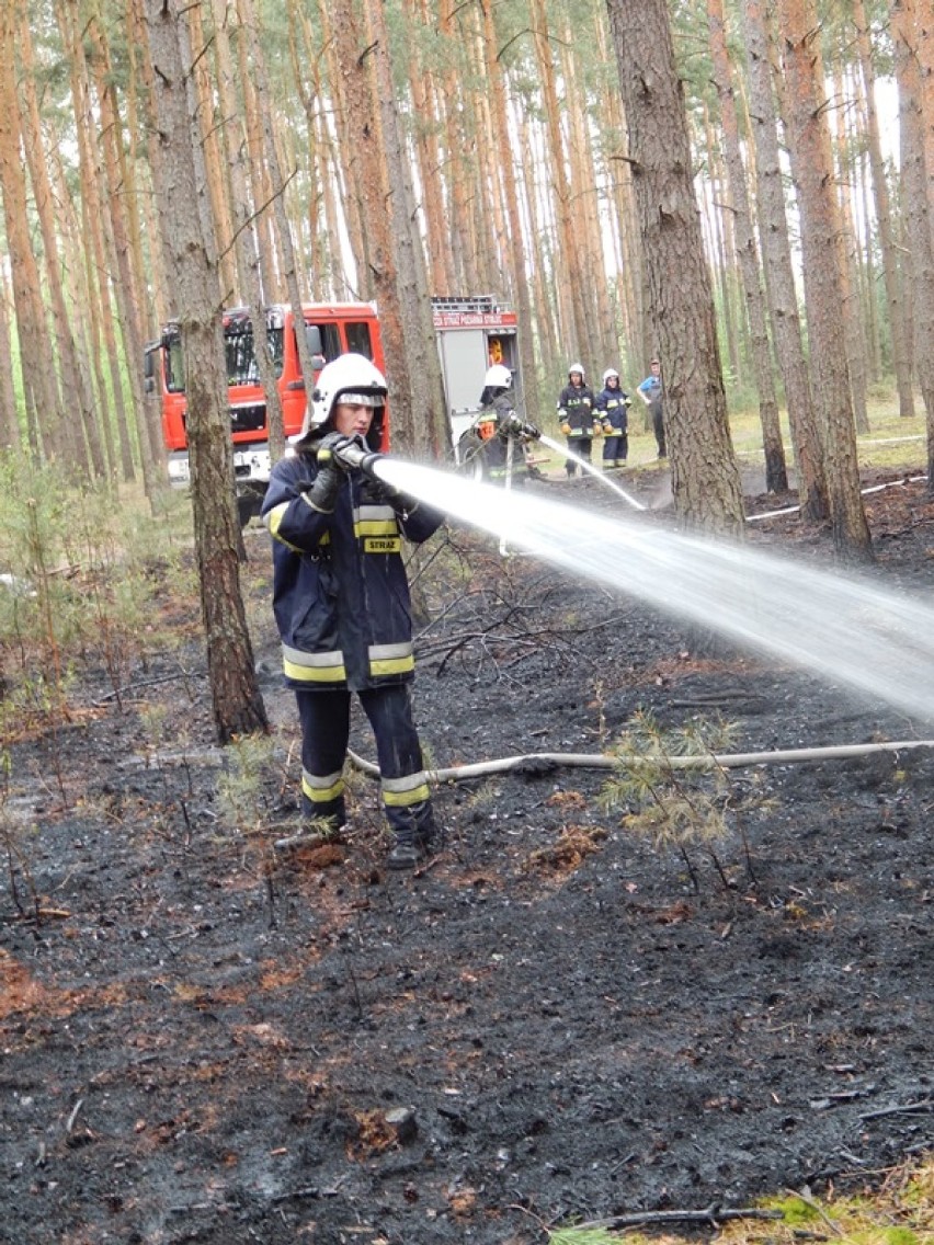 Pożar lasu w Bieścu
