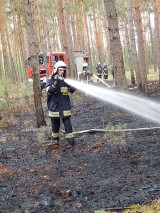 Pożar lasu w gminie Złoczew [ZDJĘCIA]