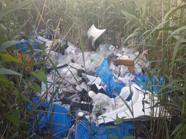śmieci wyrzucono na grząski teren w sąsiedztwie rozlewiska.