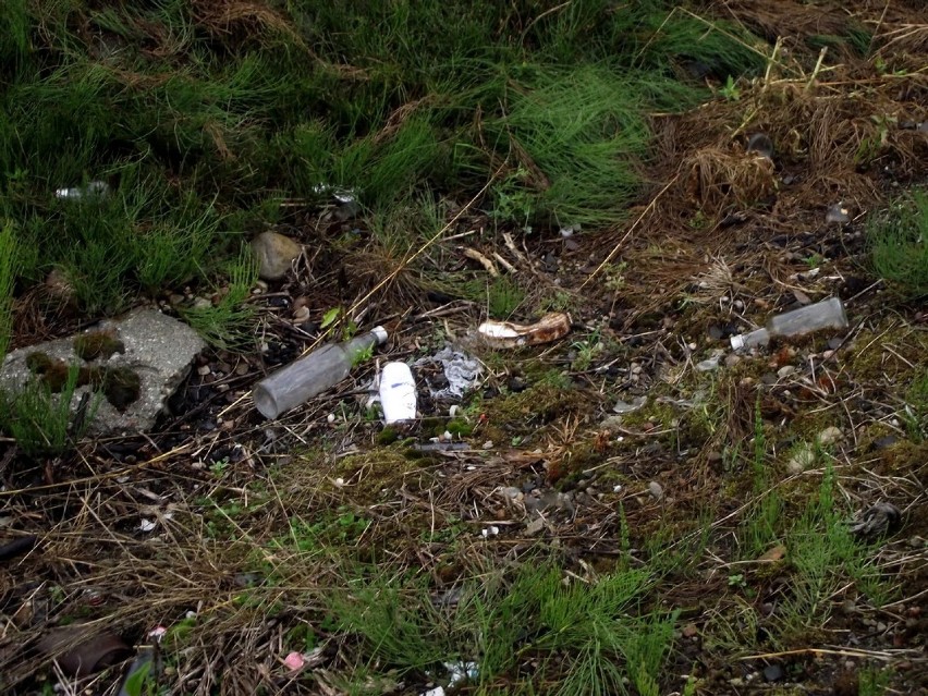 Dlaczego domowe śmieci trafiają do koszy w mieście, na cmentarzu lub wyrzucane są na niezabudowane działki