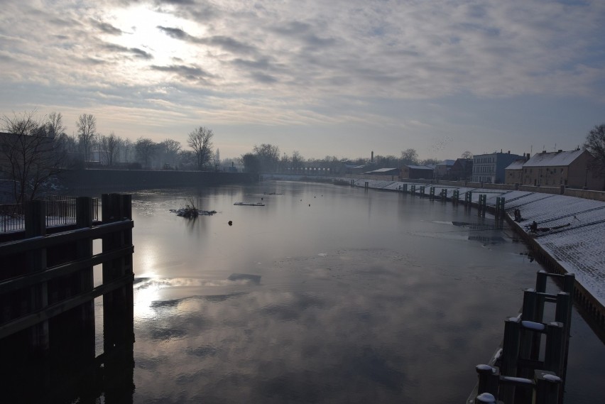 Jedna pojawiła się w porcie w Nowej Soli, druga na zbiorniku...